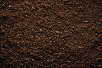 Fototapeta premium Soil texture, low light, top view