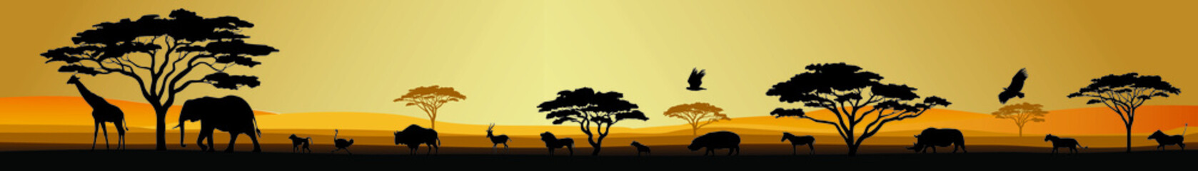 Fototapeta premium African Safari