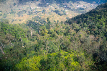 Fototapeta na wymiar Aerial view lush green forest of Hoang Lien Son national park with Muong Hoa valley terraced paddy fields, low density houses in background, Sa Pa, Lao Cai, Vietnam travel destination