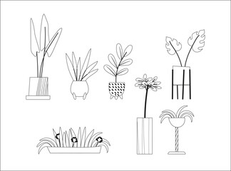 Set of outline potted plants for icons or stickers. Flat style illustration of home flowers line art.