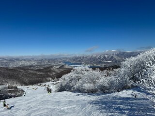 Fototapeta na wymiar 2024年1月の福島県のネコママウンテンの北エリアの霧氷と青空