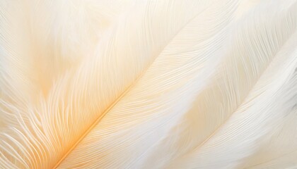 beautiful white feather pattern texture background with orange light illustration - obrazy, fototapety, plakaty