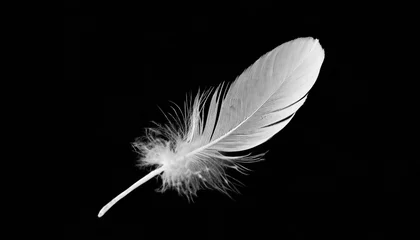 Foto op Plexiglas beautiful white feather floating in air isolated on black background illustration © Katherine