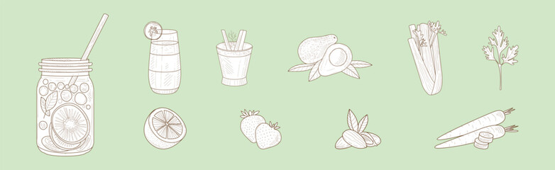 Fresh Food for Detox Cocktail Hand Drawn Vector Set