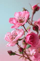 Pink rose flower as vertical Greeting card template composition