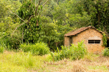 Casa construída com tijolos de barro coberta por vegetação. Mata Atlântica brasileira, São Paulo, Brasil. 