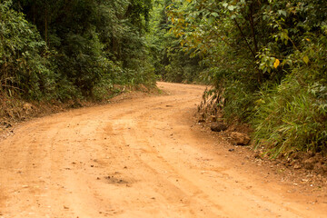 Estrada de terra em meio a floresta verde. Mata Atlântica Brasileira, São Paulo, Brasil. 