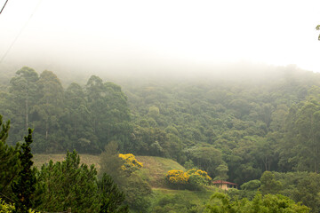 Serra do japi coberta por neblina localizada em Jundiaí interior de São Paulo.