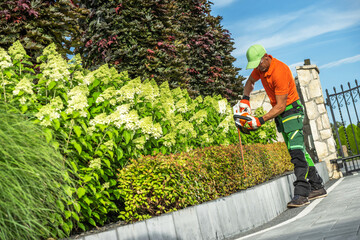 Shaping Driveway Side Plants Using Electric Hedge Trimmer