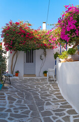 Traditional whitewashed houses, narrow cobblestone avenue, bougainvillea in Paros, Cyclades, Greece.