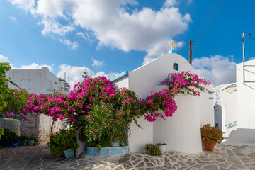 Greek church with blue dome covered with bougainvillea, Paros.