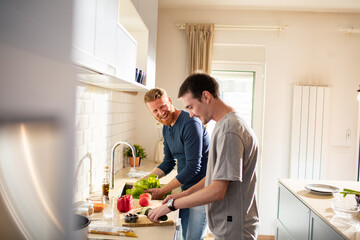 Young male gay couple cooking together in a home kitchen - obrazy, fototapety, plakaty