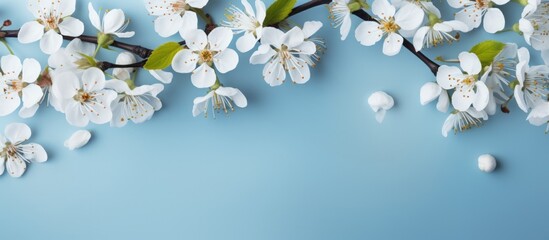 Fresh white spring cherry blossom flower on blue background. Generate AI image