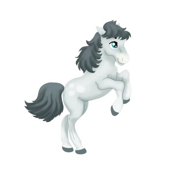 Grey cute pony horse cartoon isolated on white