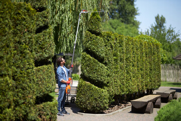 Strong man in casual outfit using electric trimmer for cutting conifer hedge outdoors. Side view of...