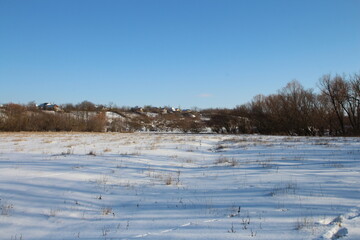 A snowy field with trees and blue sky