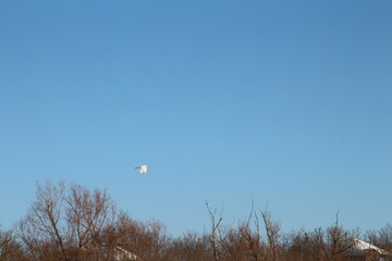 A blue sky with white text