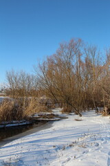 A snowy landscape with trees and a river