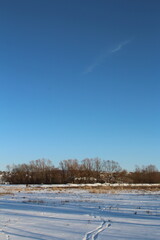 A snowy field with trees and blue sky