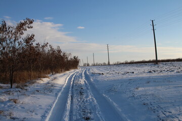 A snowy road with trees