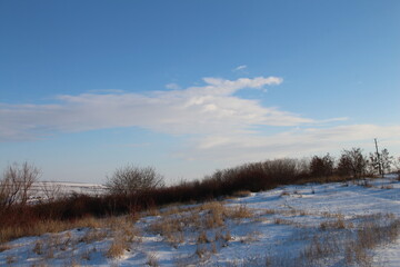 A snowy field with trees and a blue sky