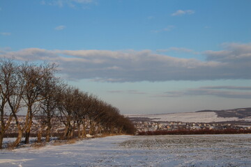 A snowy landscape with trees and hills