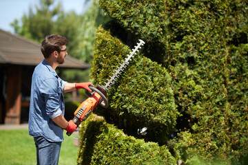 Skillful male landscaper shaping geometric ornament with hedge trimmer in topiary park. Side view of bearded professional gardener in gloves taking care of thuja with electric lopper. Topiary concept.