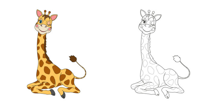 Cute cartoon animal giraffe line and color illustration . Cartoon vector illustration for coloring book.
