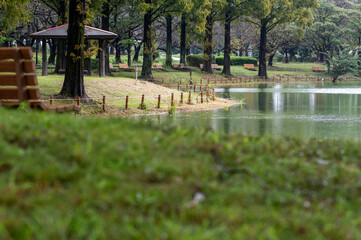 池のある公園