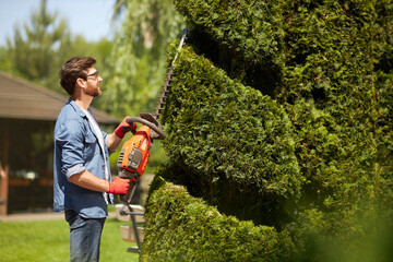 Skillful male gardener with electric hedge trimmer in topiary park. Side view of professional...