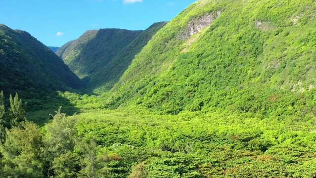 Aerial view of Honokane Valley, along the rugged North Kohala coast, Hawaii island, Hawaii, United States