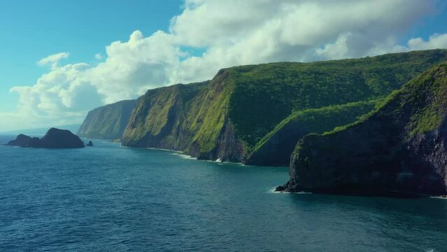 Aerial view of the seacliffs of the rugged North Kohala coast, Hawaii island, Hawaii, United States