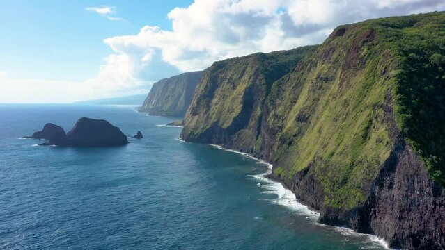 Aerial view of the seacliffs of the rugged North Kohala coast, Hawaii island, Hawaii, United States