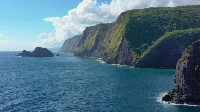 Aerial view of the seacliffs of North Kohala, Hawaii island, Hawaii, United States