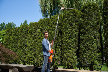Smiling male gardener cutting top of huge thujas with motorized hedge trimmer on backyard. Side...