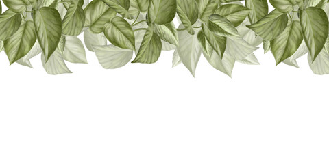 Watercolor border on white background. Scindapsus Aureus leaves. For your projects, prints, cards, invitations, booklets, notepads. Eco-friendly theme.