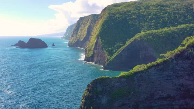 Aerial view of the seacliffs of the rugged North Kohala coast, Hawaii island, Hawaii, United States