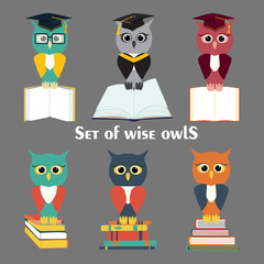 Set of owl in a graduate hat holds an open empty book in his paws and sitting on a pile of books. Vector wise owl character in master cap flat illustration
