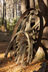 Vieilles roues de chariot brisées, en automne,  vertical