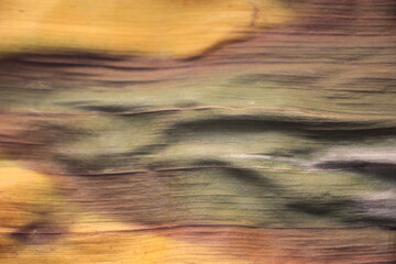 Dry leaves, nature, create beauty