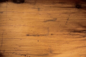 Dry leaves, nature, create beauty