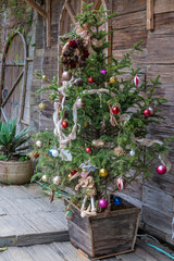 Fototapeta na wymiar christmas tree in the garden
