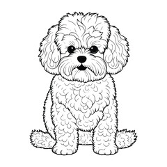 Bichon Frise dog vector EPS