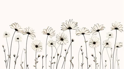 Foto op Plexiglas A line drawing of daisies © frimufilms