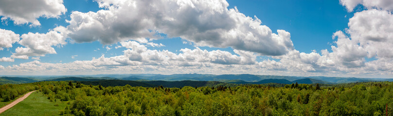 Fototapeta na wymiar Panorama of the spring forest near the mountain town. Picturesque landscape of a sunny day.