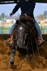A close up view of a rider sliding the horse in the dirt	
