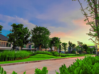 The Garden in sunset