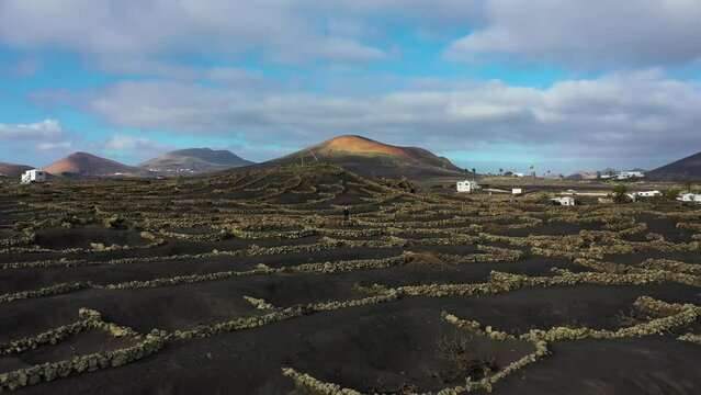 Aerial view of La Geria, a volcanic area with vines cultivated in pits dug into black volcanic ash, Lanzarote, Canary Island, Spain.