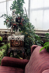 An old red chair in a greenhouse surrounded by green plants. A fabulous magical composition with plants and large windows filled with light.