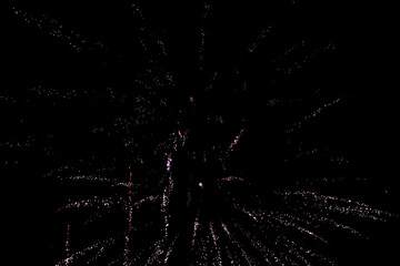 Firework. Colorful festive fireworks, standing out against the black sky. A shot of a bright...